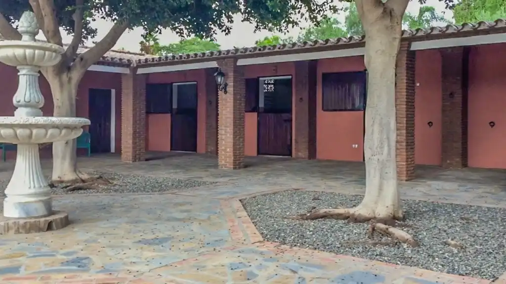 Casa rústica amb terrassa en venda a Coín, imagen 31