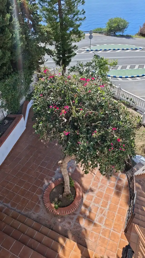 Haus mit Garten zum Verkauf in Monte los Almendros - El Pargo - Costa Aguilera, imagen 85