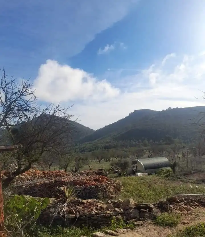 Finca rústica en venta en Llíber