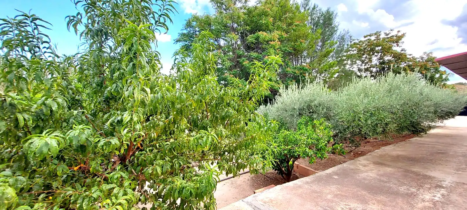 Chalet con terraza en venta en Calasparra, imagen 15
