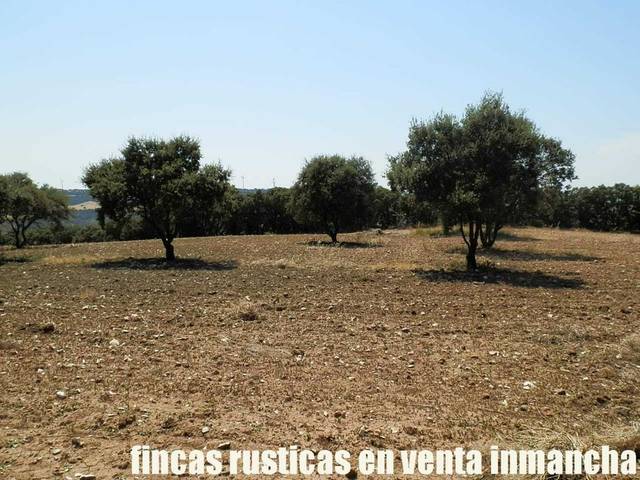 Terreno en Venta en Alcocer
