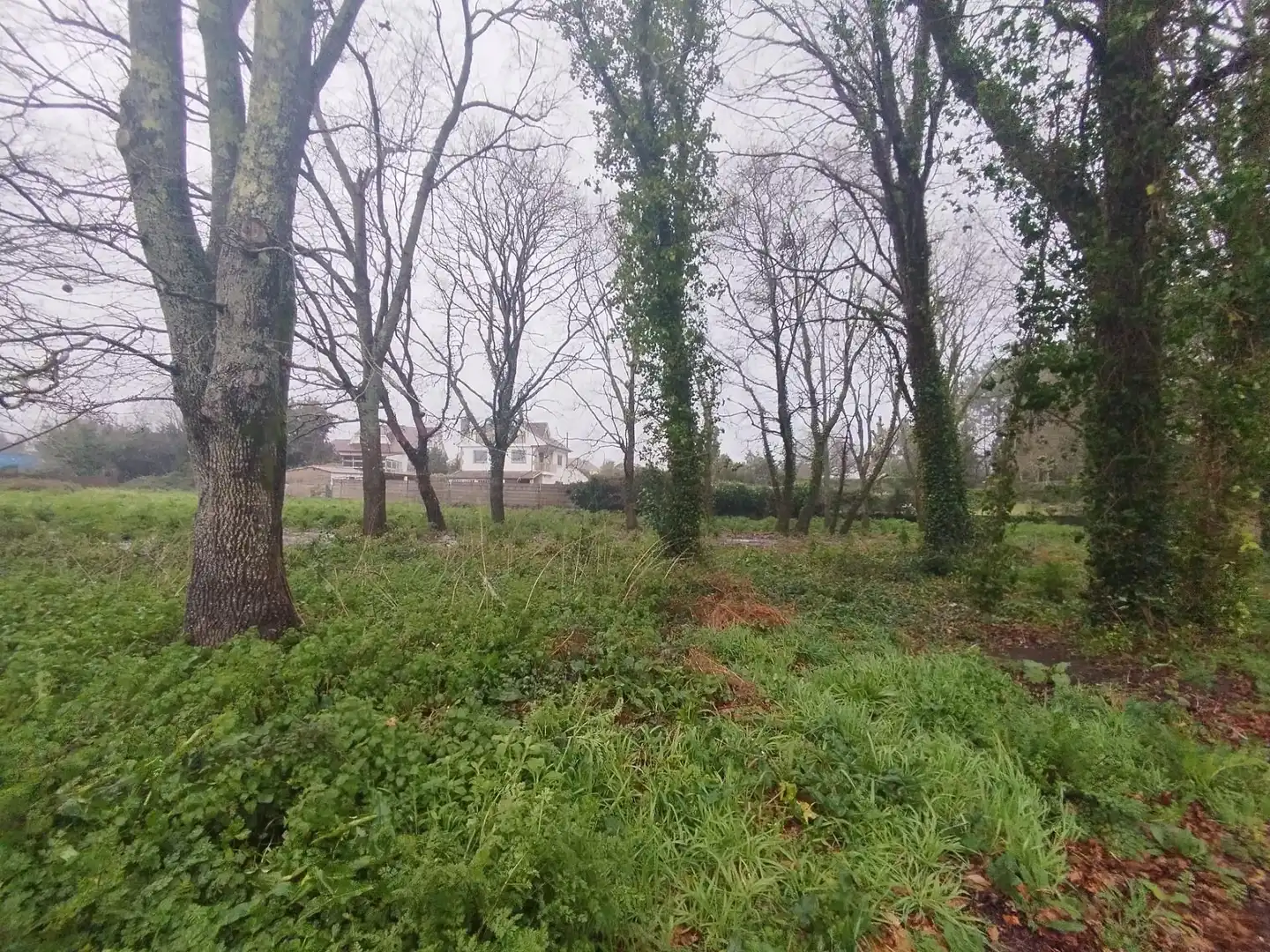 Terreno en venta en Tomiño