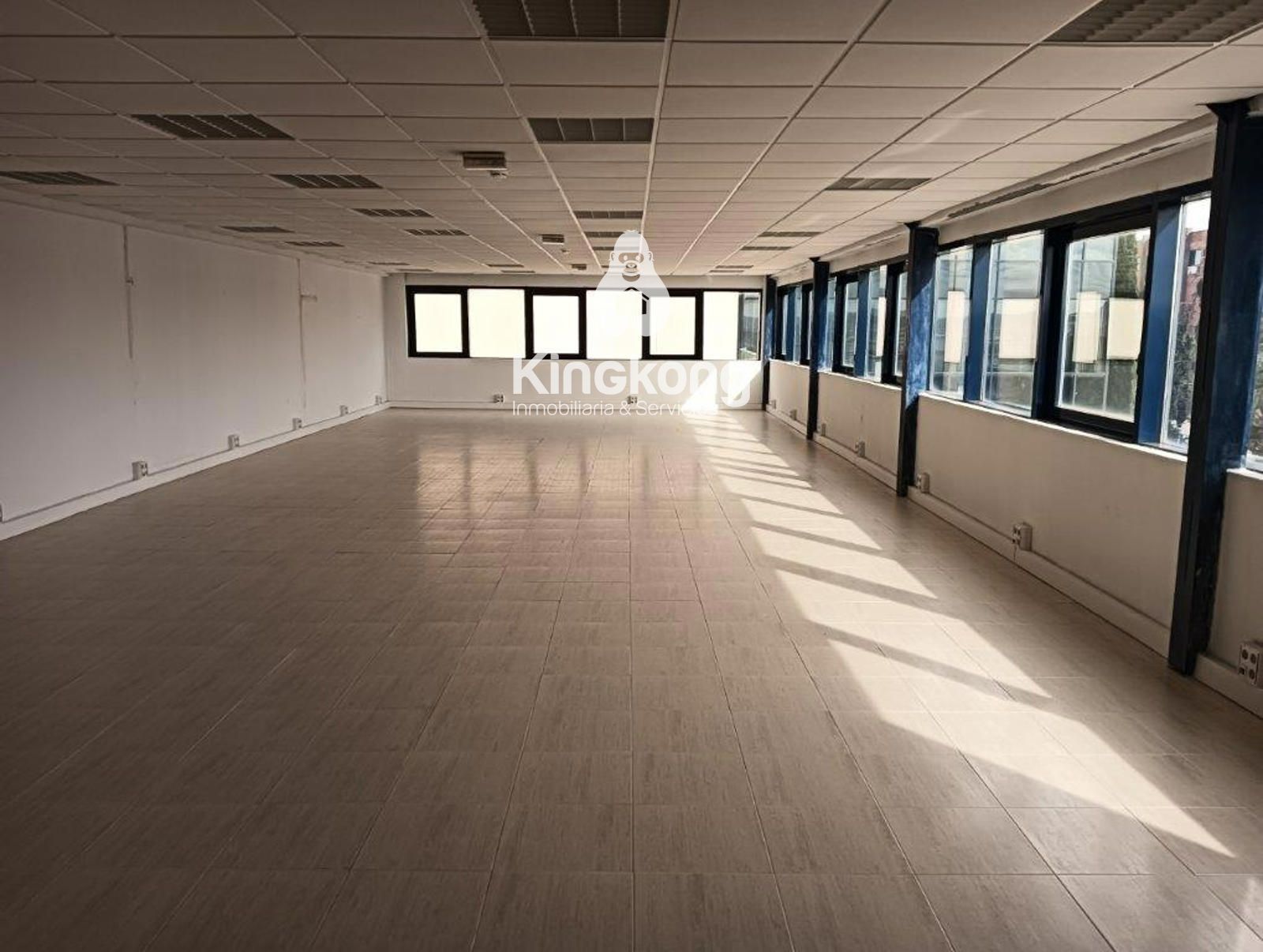 Office to rent