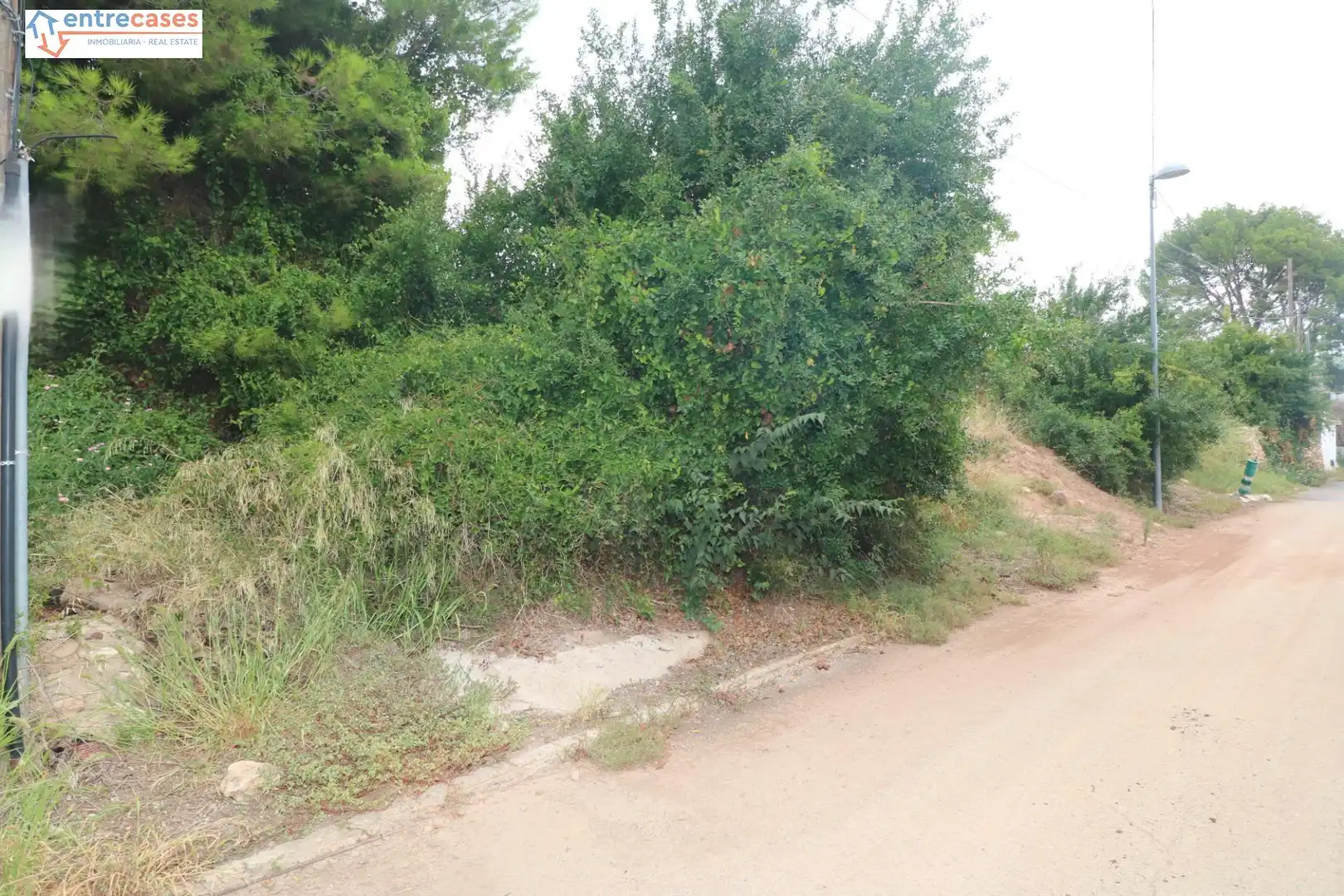 Terreny residencial en venda a Albalat dels Tarongers