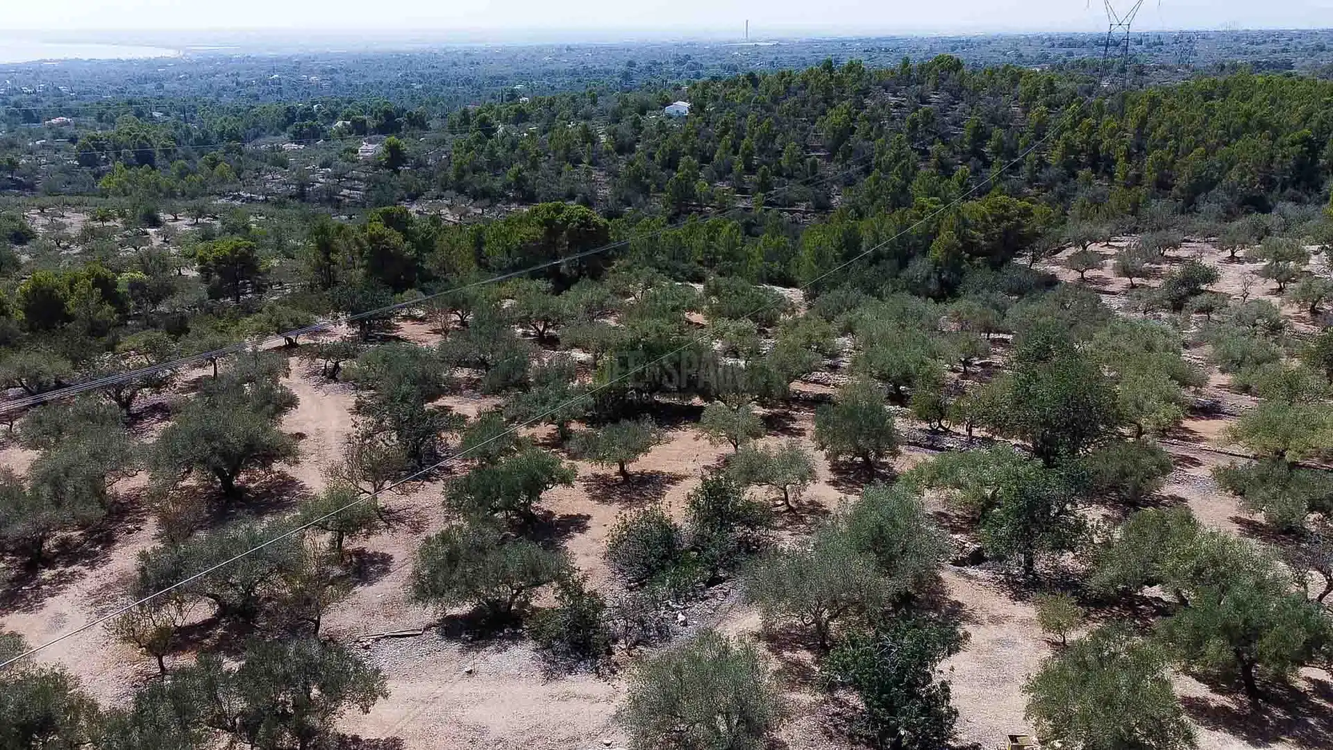 Country homes for sale in L'Ampolla