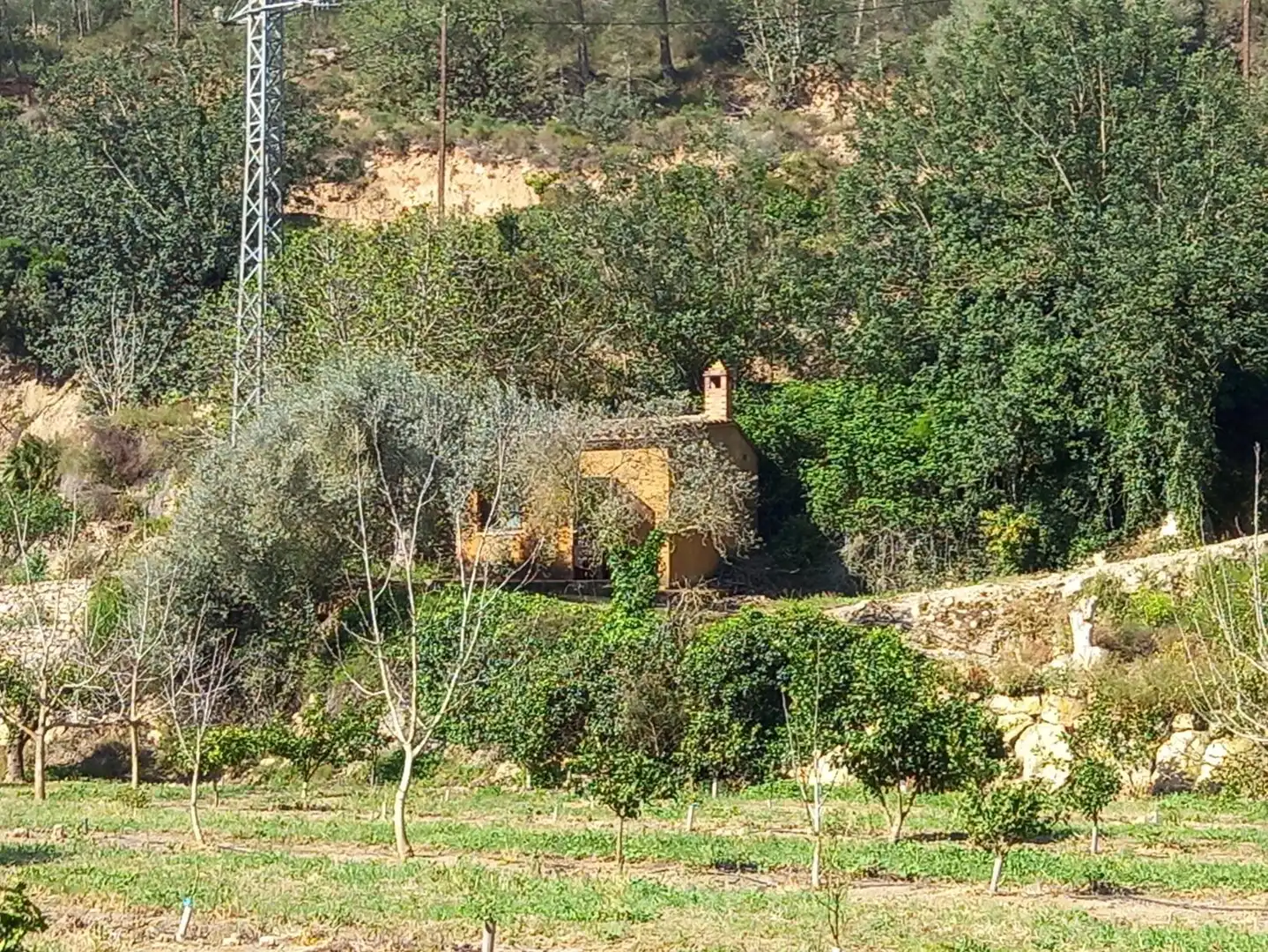 Terreny rústic en venda a Miravet, imagen 26