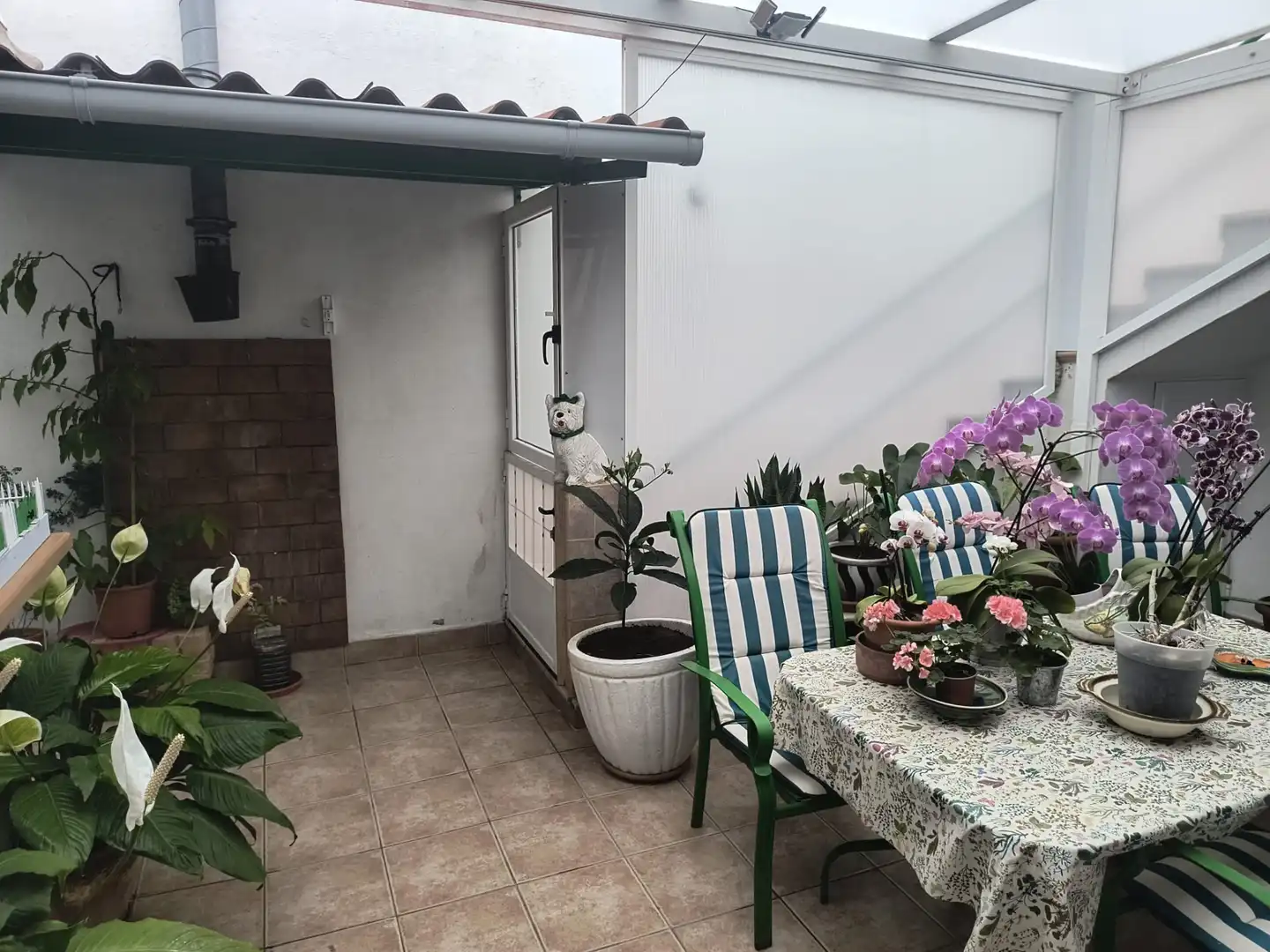 Terrassa de Casa o xalet en venda en Buenavista del Norte amb Jardí privat, Terrassa i Forn