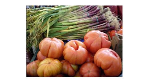 Foto 3 de Residencial en venda a Poligono 15 Paraje 440 Sotillo, Alfaro, La Rioja