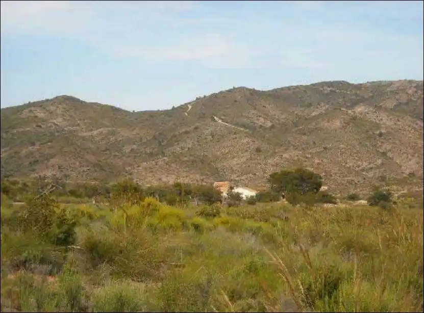Rural land for sale in Los Olivos, imagen 6