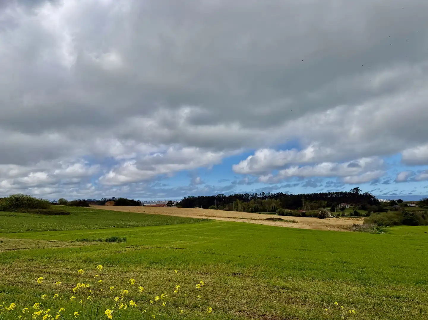 Terreno en venta en Marina de Cudeyo