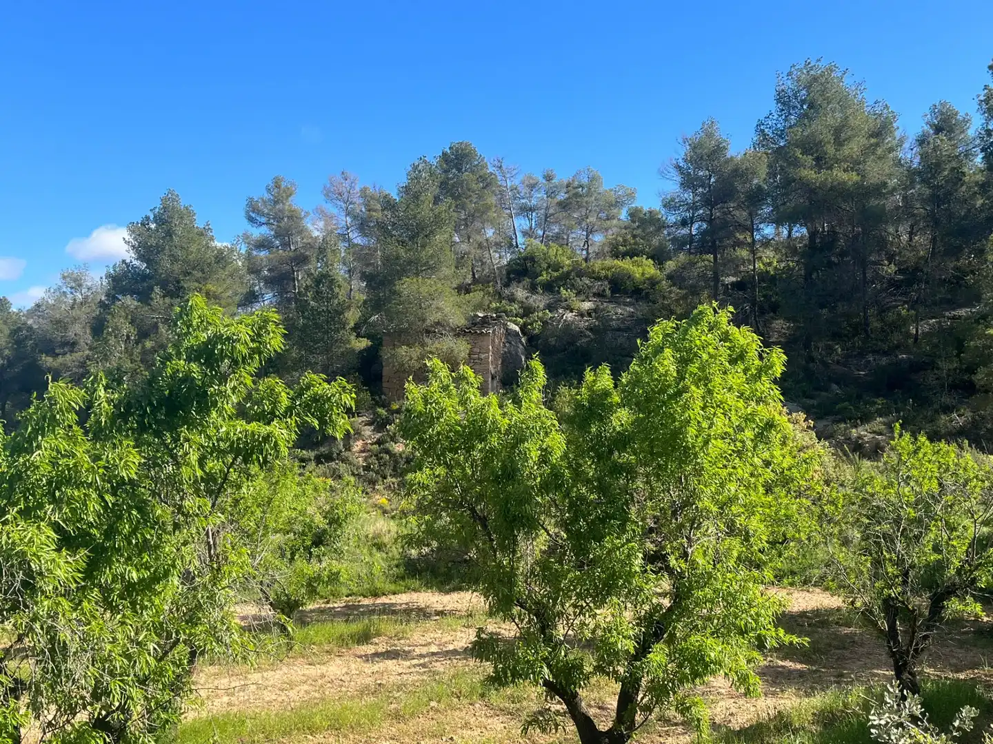 Terreni e lotti in vendita a La Fresneda, imagen 5