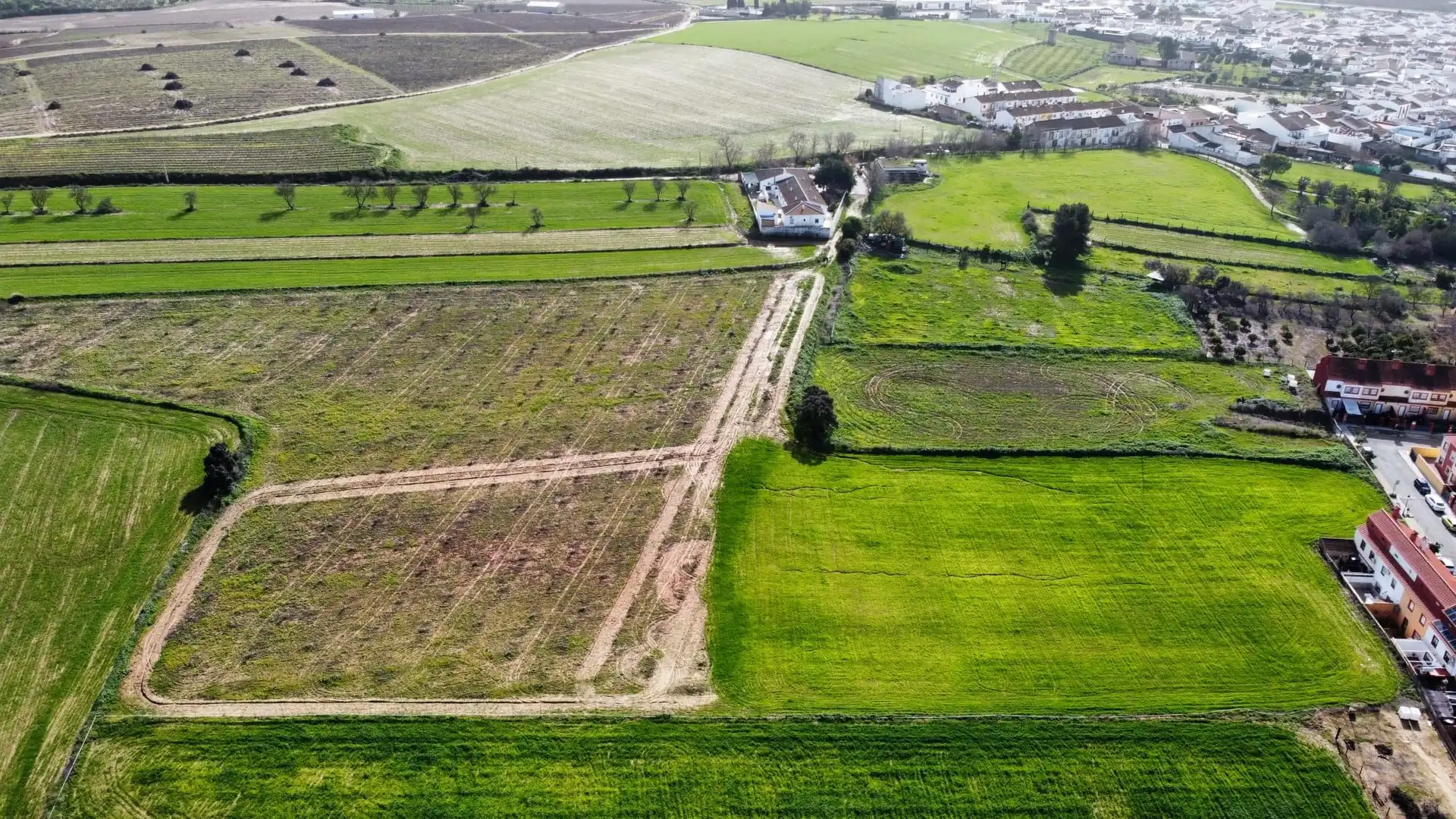 Land for sale in Carrión de los Céspedes