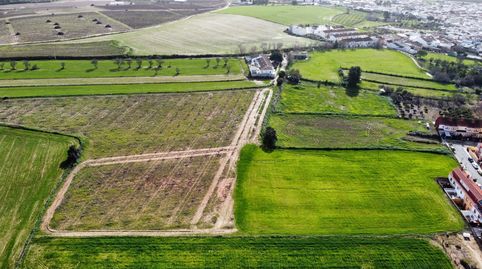 Foto 4 de Terreno en venta en Carretera Sc Subs, Carrión de los Céspedes, Sevilla