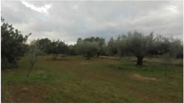 Terreni e lotti in vendita a Sant Joan de Moró