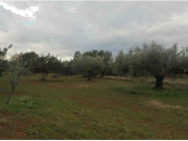Terreni e lotti in vendita a Sant Joan de Moró