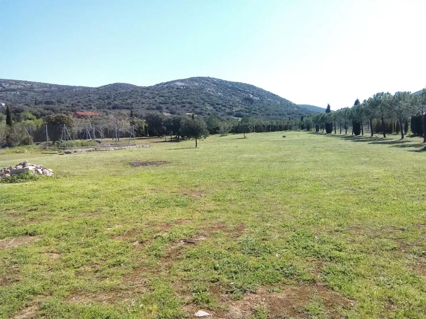 Land for sale in Moral de Calatrava