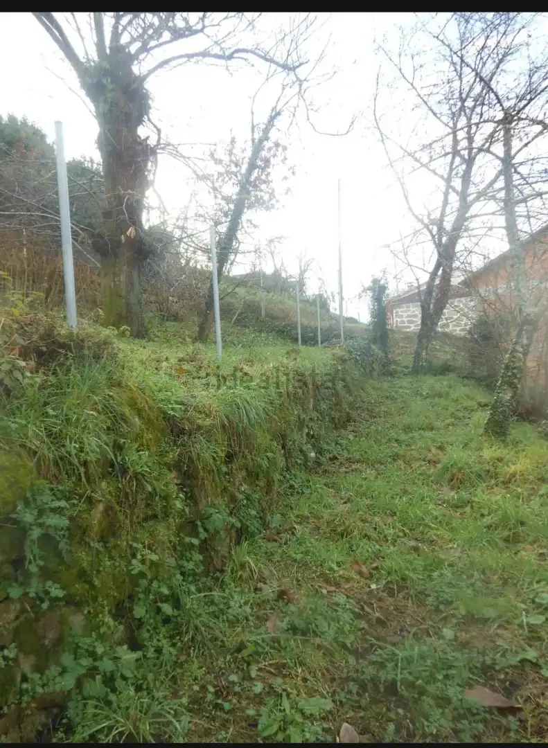 Houses for sale in Ourense Capital 