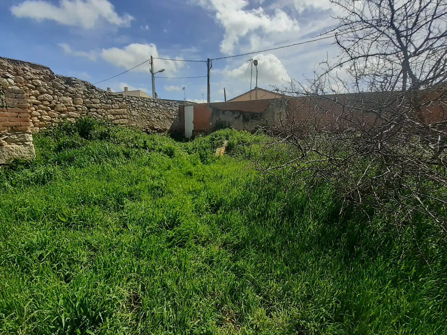 Terreni e lotti in vendita a Pinilla, imagen 4
