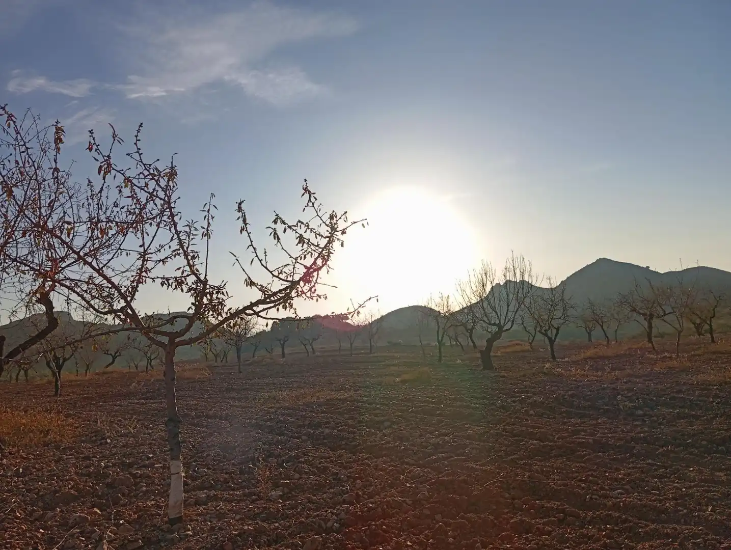 Houses for sale in Bejar