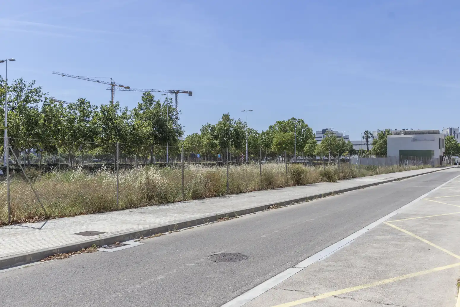 Terreno rustico in vendita a Puerto de Sagunto, imagen 4