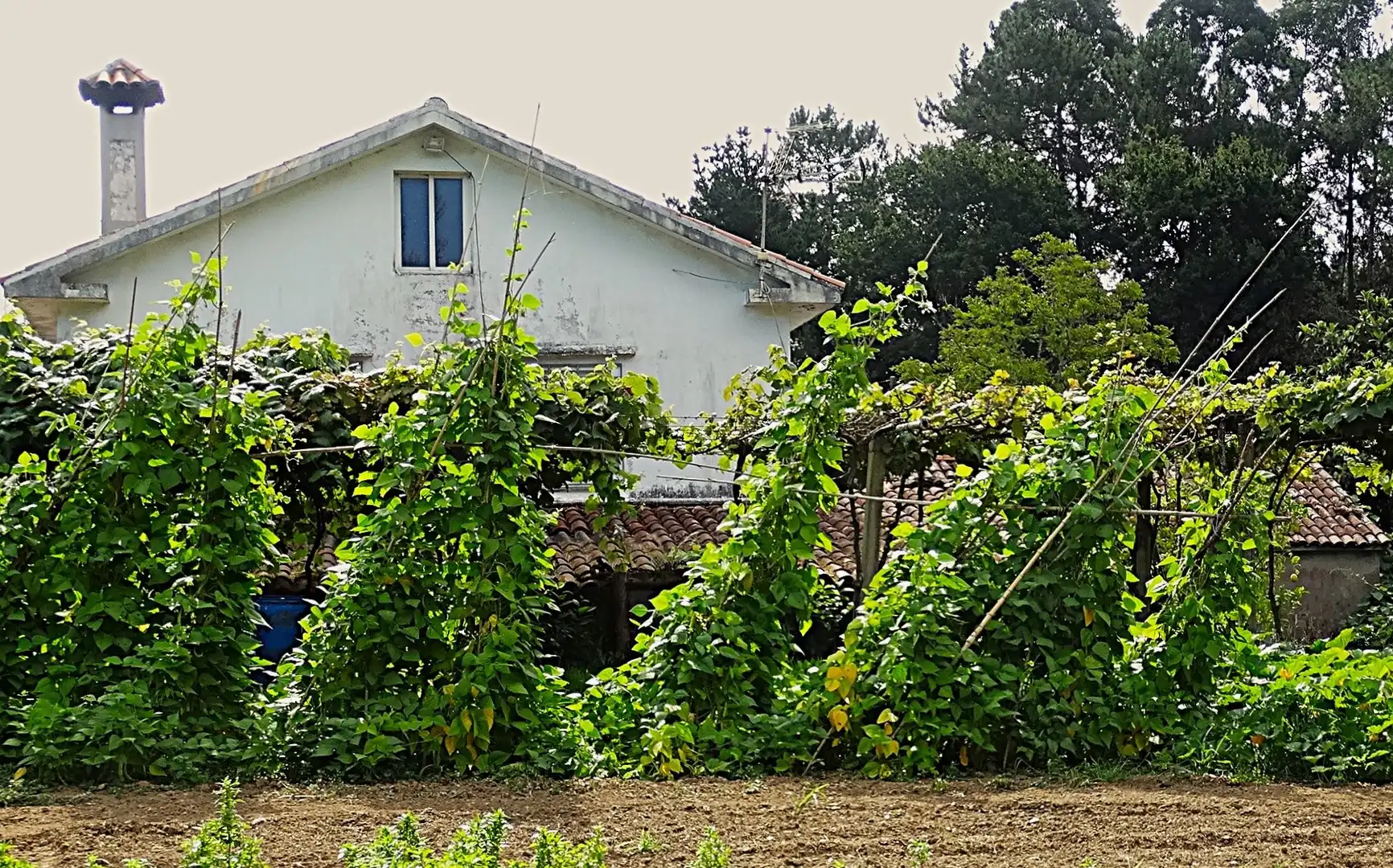 Jardí de Finca rústica en venda en Narón amb Calefacció, Jardí privat i Parquet