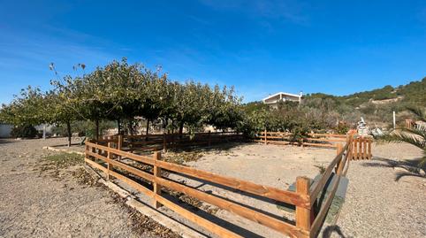 Foto 5 de Casa o xalet en venda a Carrer Algerri, 25, Castelló de Farfanya, Lleida