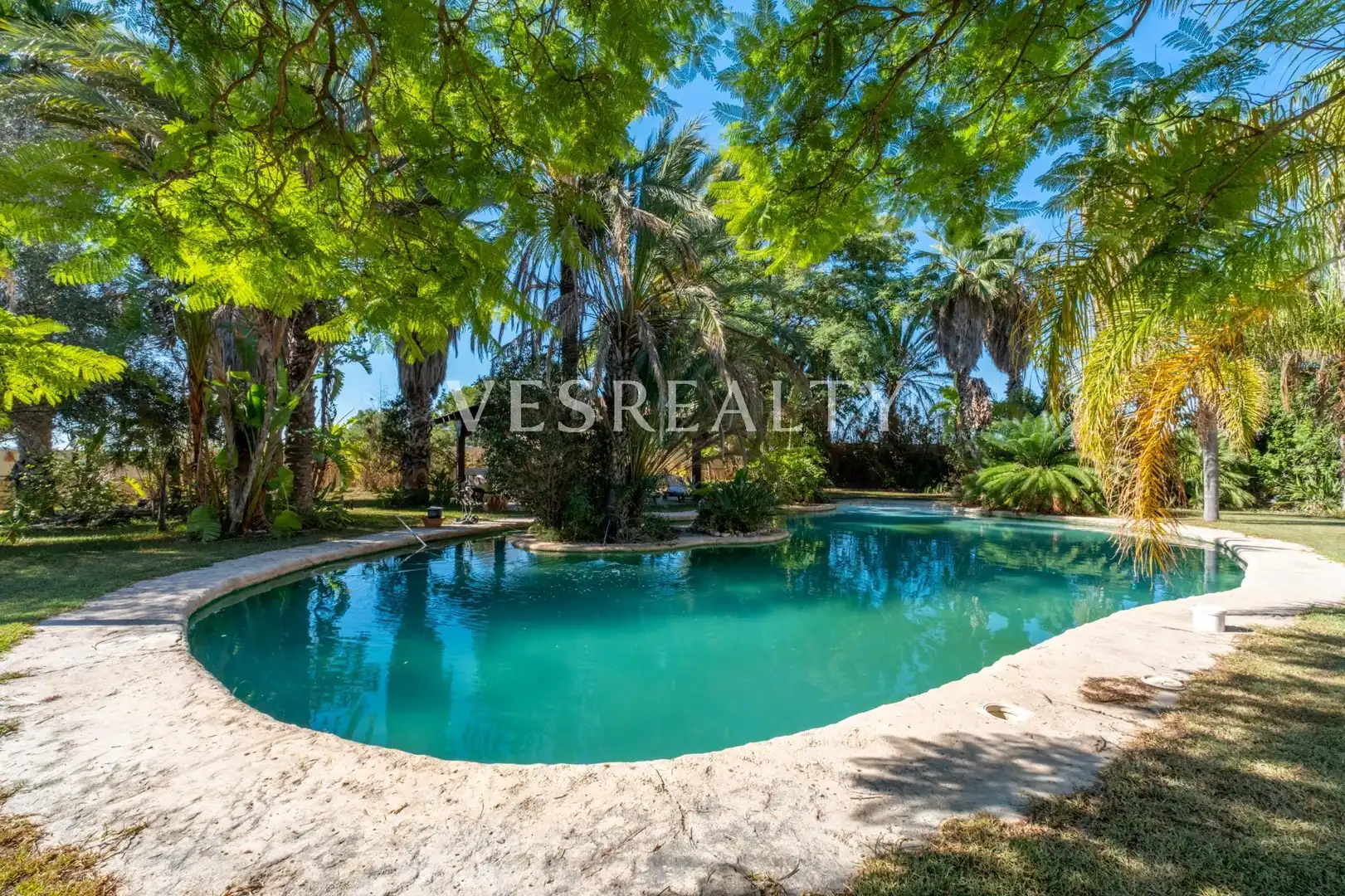 Piscina de Casa o xalet en venda en Elche / Elx amb Aire condicionat, Calefacció i Jardí privat