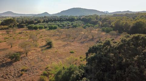 Photo 2 of Land for sale in Ma-4033, Zona d'Interior, Son Servera