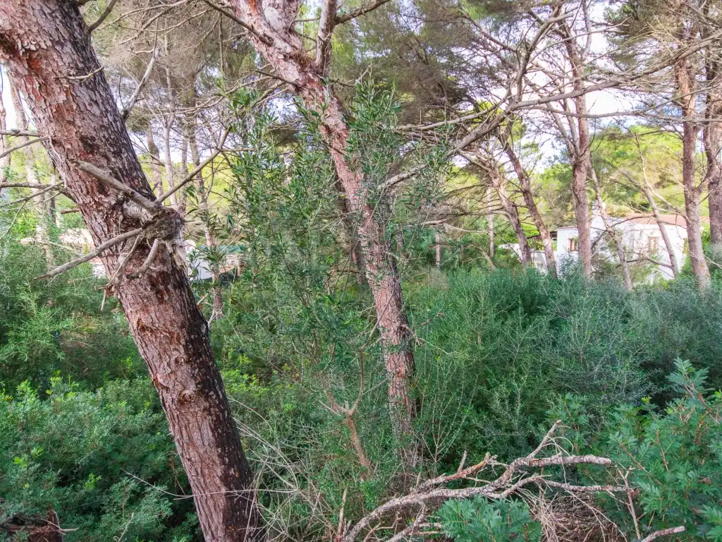 Residential land for sale in Son Parc, imagen 6