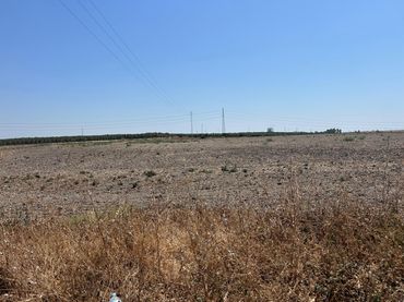 Terrain résidentiel à vendre à POLIGONO 3 PARCELA 317 LA DEHESILLLA
