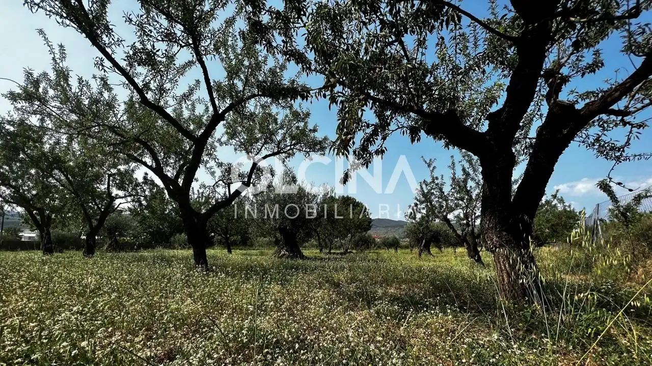 Terreno rústico en venta en Ibi, imagen 3