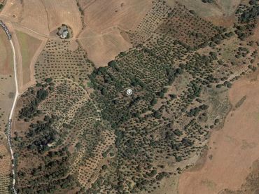 Terreno rustico in vendita a Algodonales