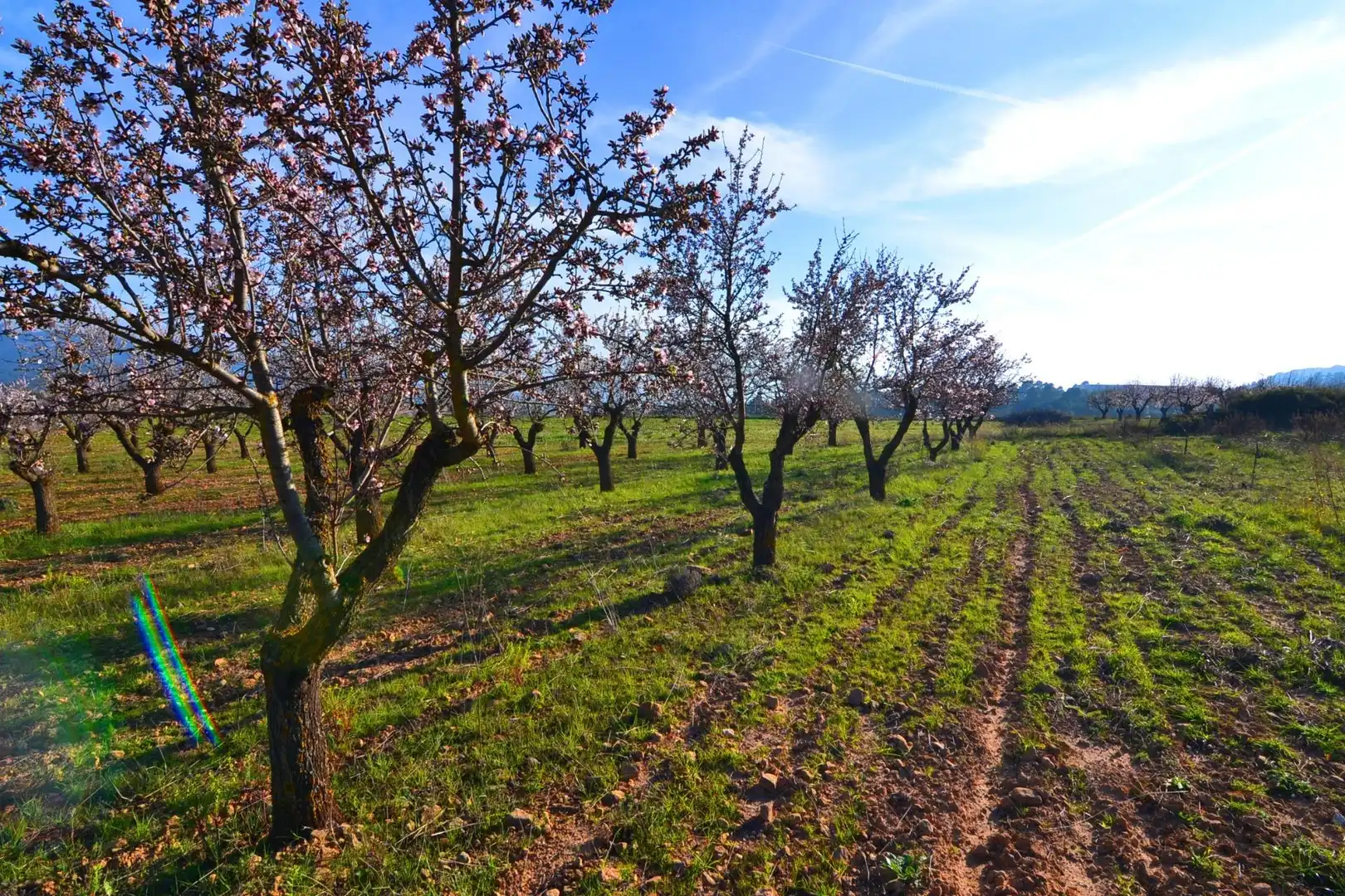 Rural land for sale in Gandesa, imagen 47