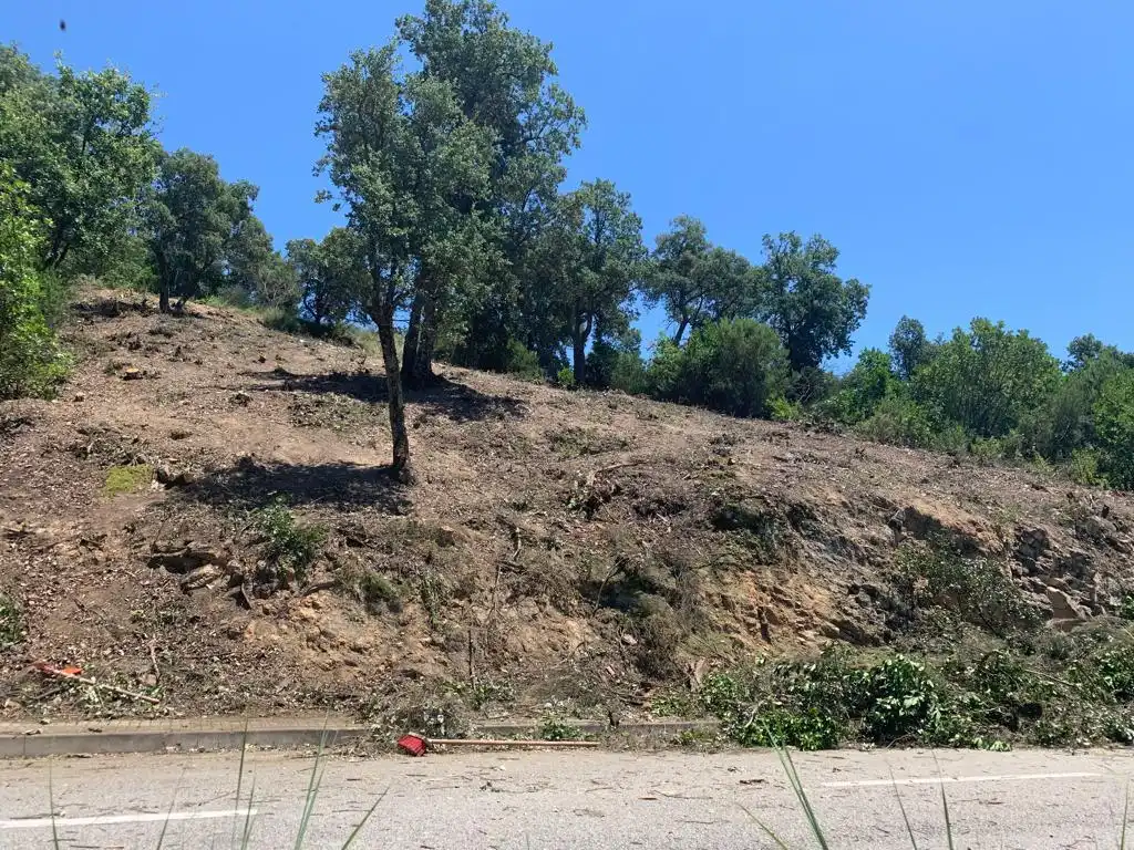 Lands and plots for sale in Riudarenes, imagen 4