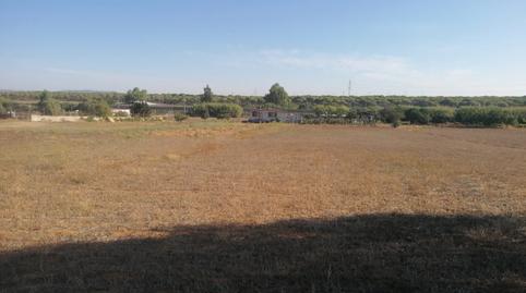 Photo 2 of Country house for sale in Las Canteras, Cádiz