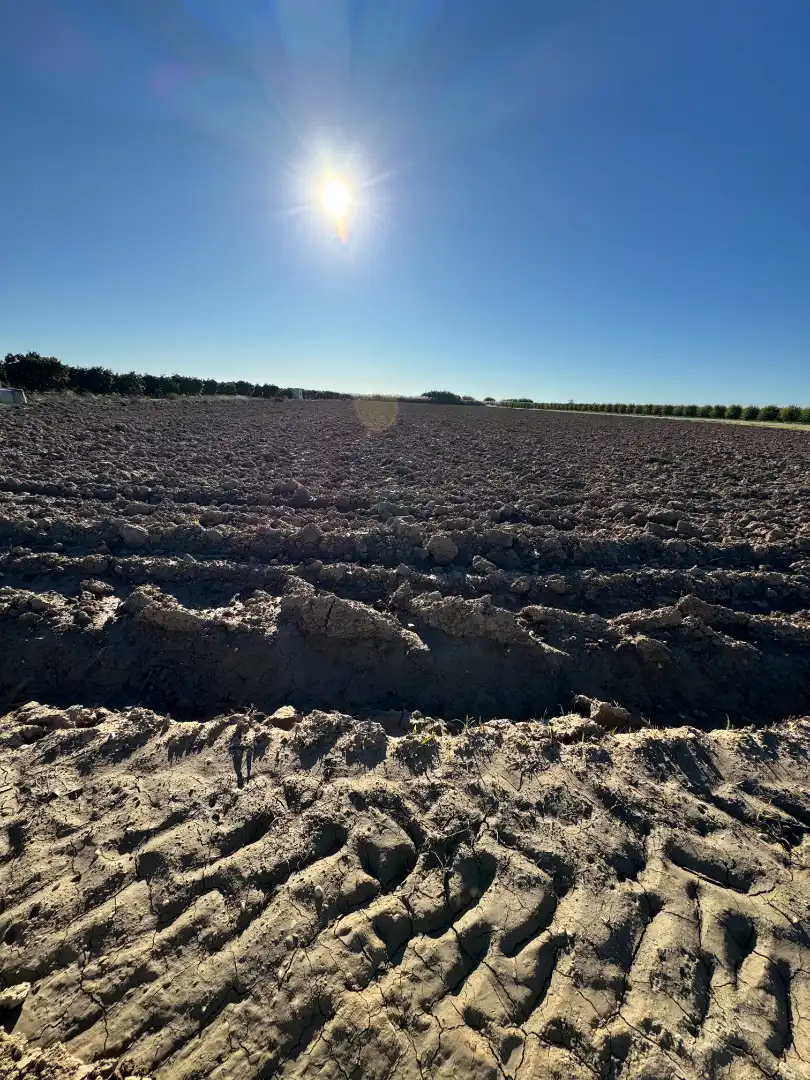 Terrenys i solars en venda a Cantillana, imagen 4