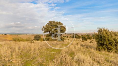 Photo 5 of Residential for sale in Valdelagua, Madrid