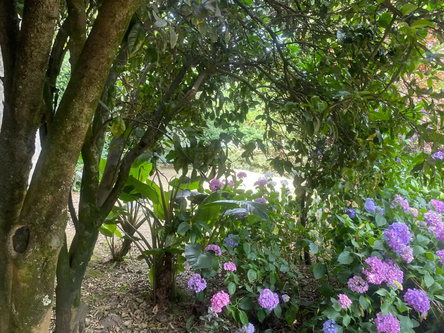 Jardín de Casa o chalet en venta en Portas con Jardín privado, Terraza y Trastero