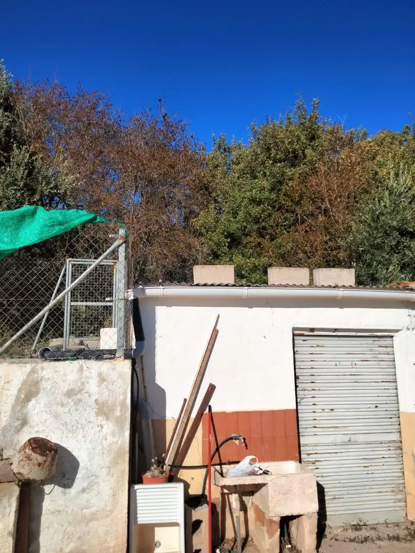 Terrenys i solars en venda a Bullas, imagen 7
