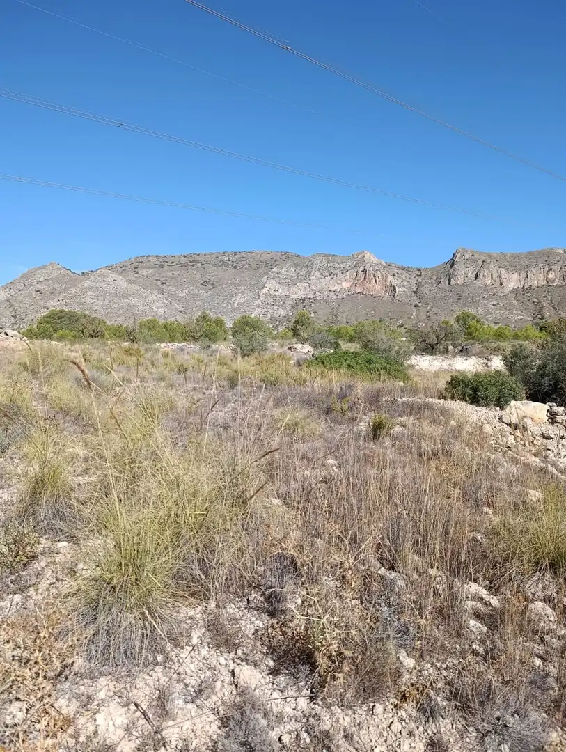 Terreno rustico in vendita a Hondón de las Nieves / El Fondó de les Neus, imagen 13