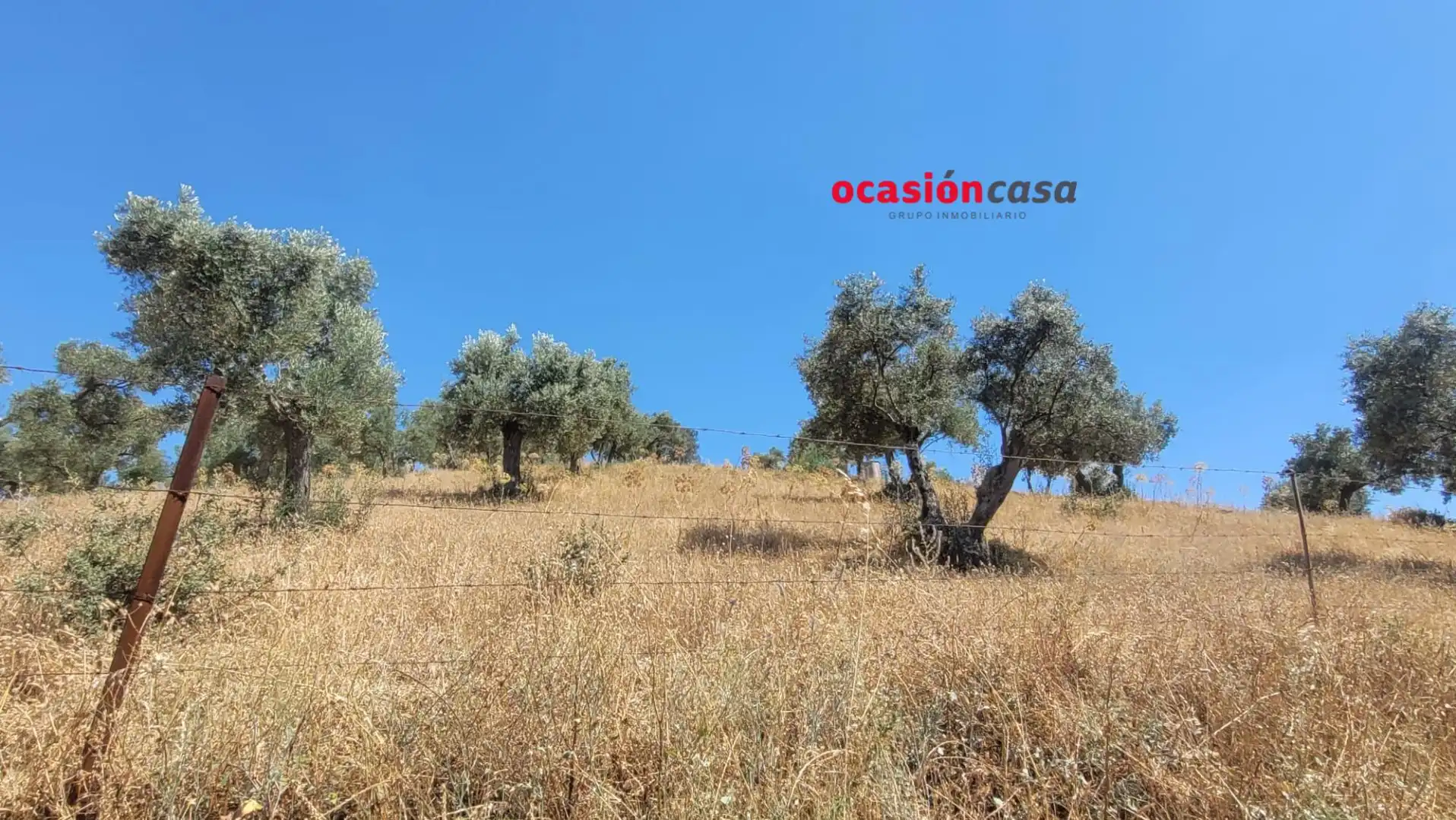 Finca rústica en venda en Pozoblanco amb Traster