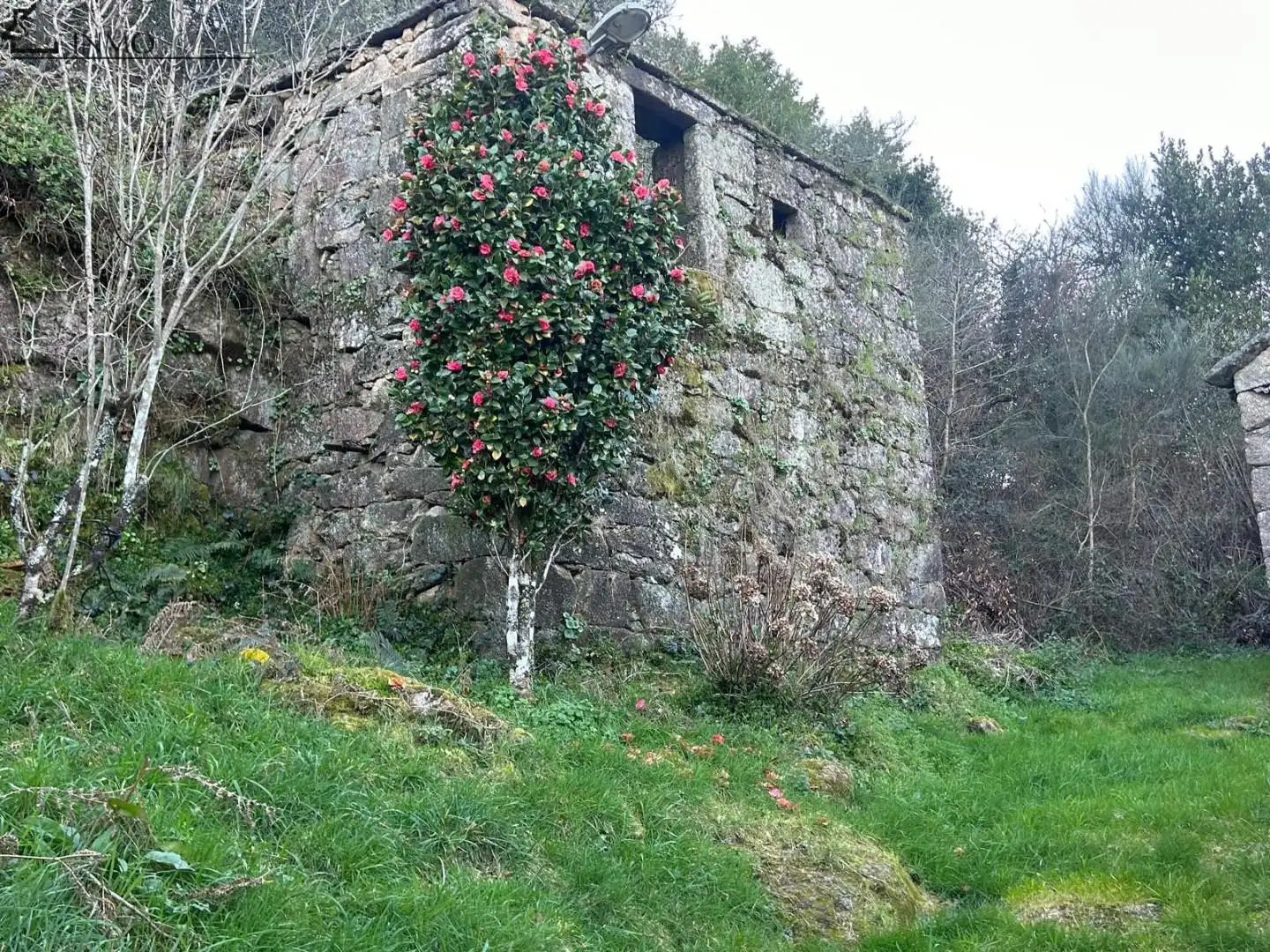Vista exterior de Casa o xalet en venda en Cerdedo amb Jardí privat i Traster