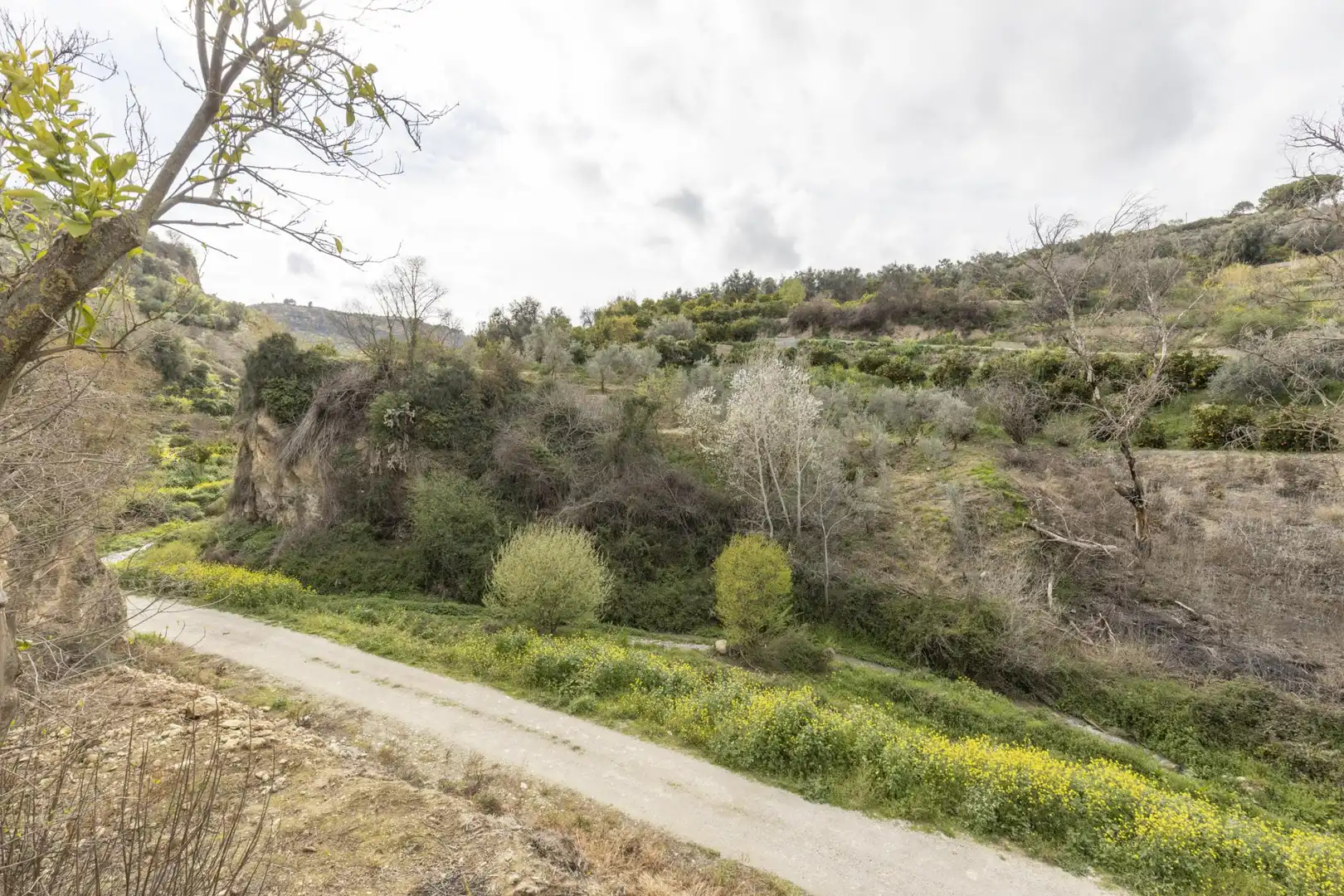 Terreno en venta en El Valle