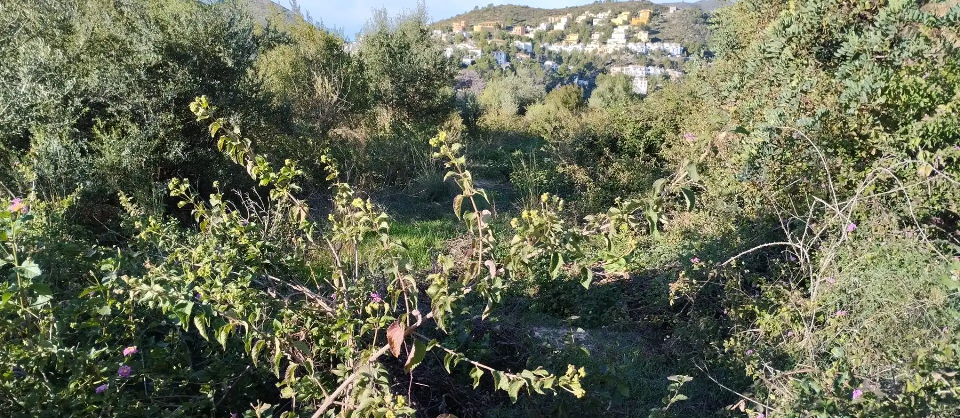 Terreny rústic en venda a L'Atzúbia, imagen 10