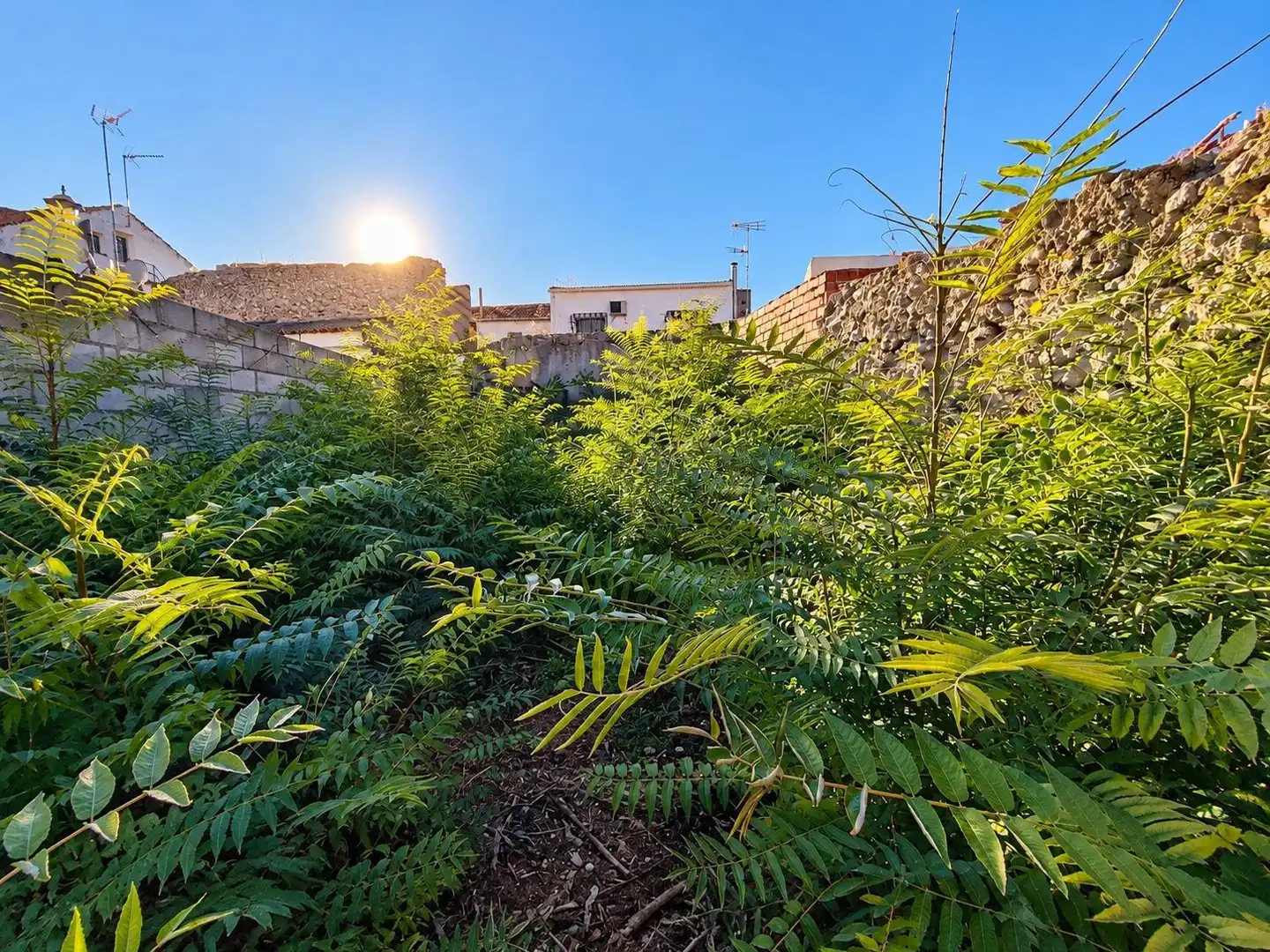Garden of Houses for sale in Centro  