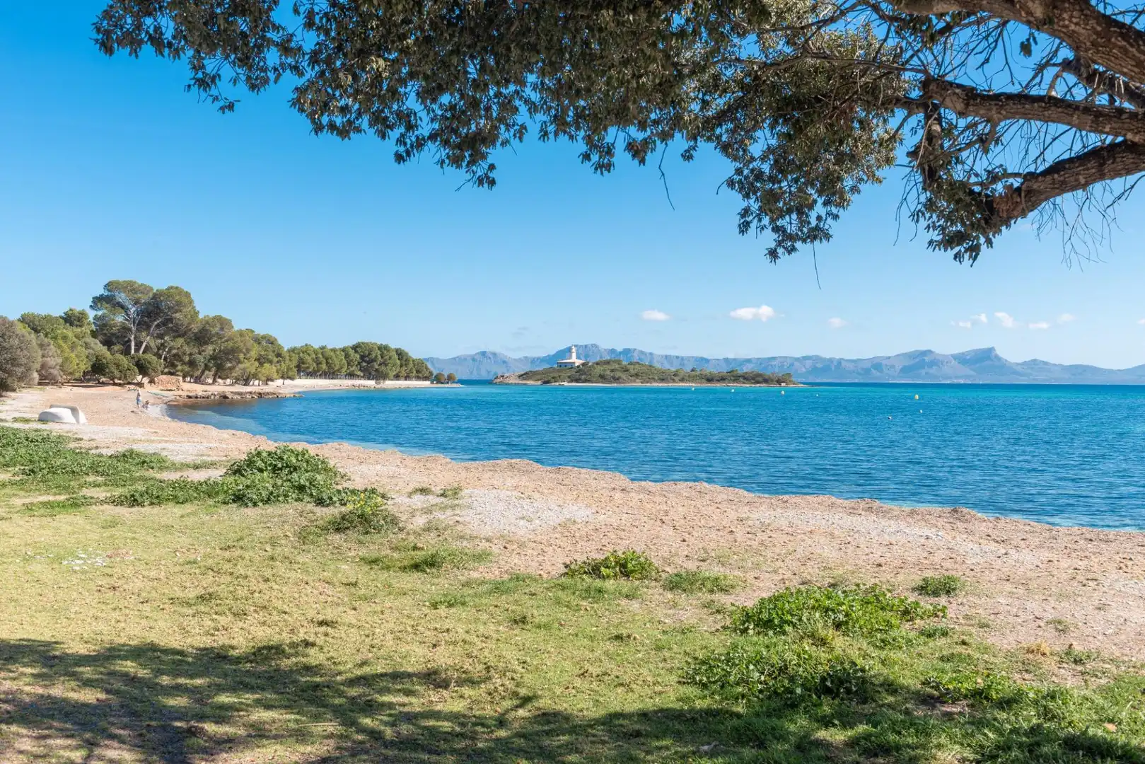 Planta baixa en venda a Port d'Alcúdia - Platja d'Alcúdia