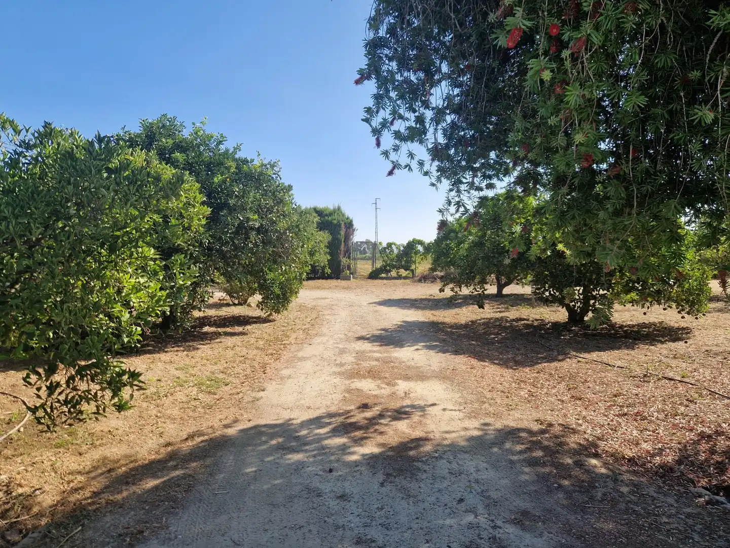 Finca rústica en venta en Jerez de la Frontera con Aire acondicionado, Calefacción y Piscina