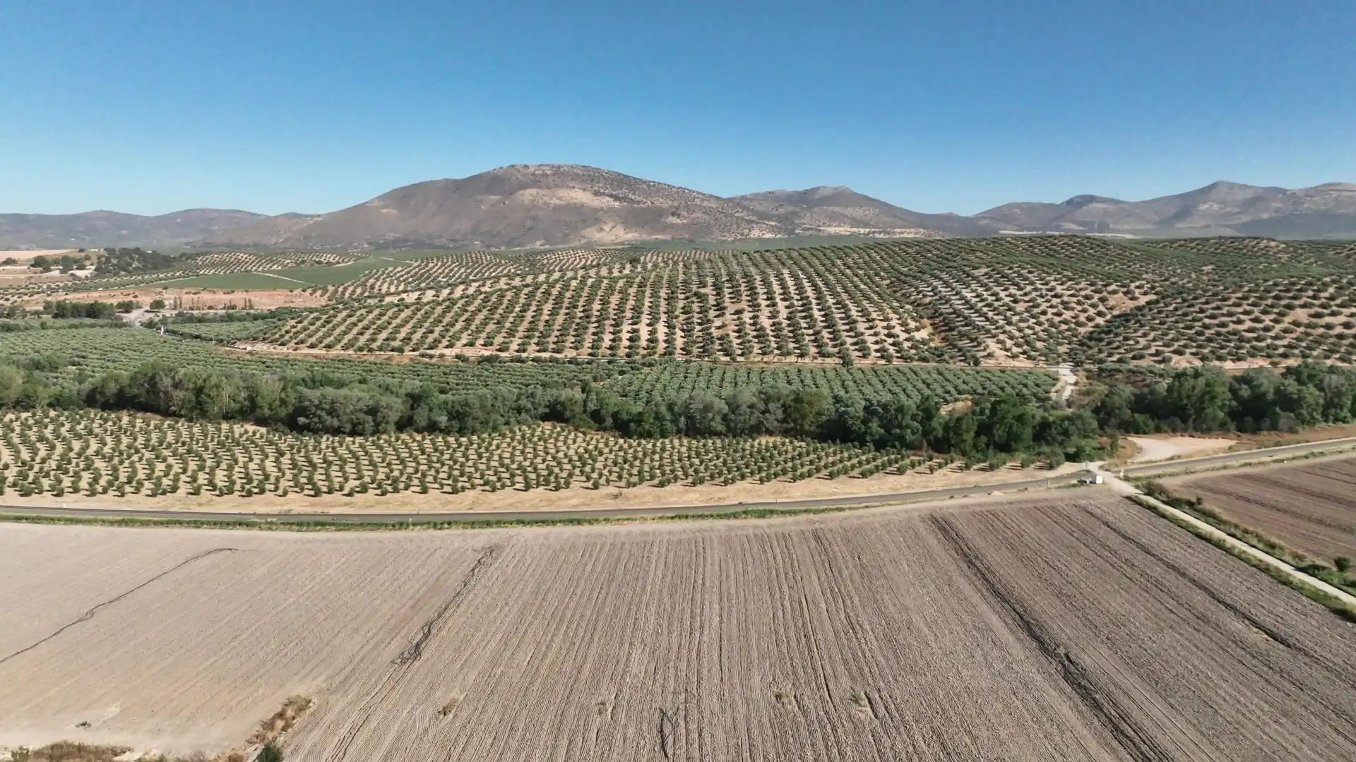 Terreni e lotti in vendita a Albolote, imagen 22