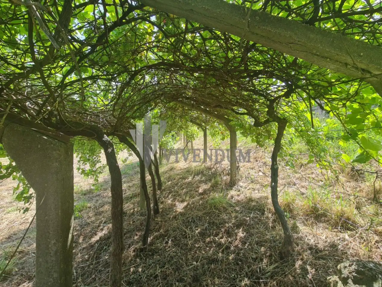 Rural land for sale in Arbo, imagen 6