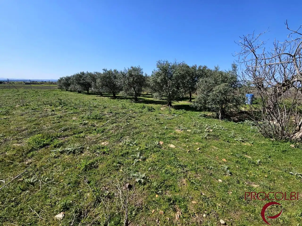 Terreno en venta en Valdeolmos-Alalpardo